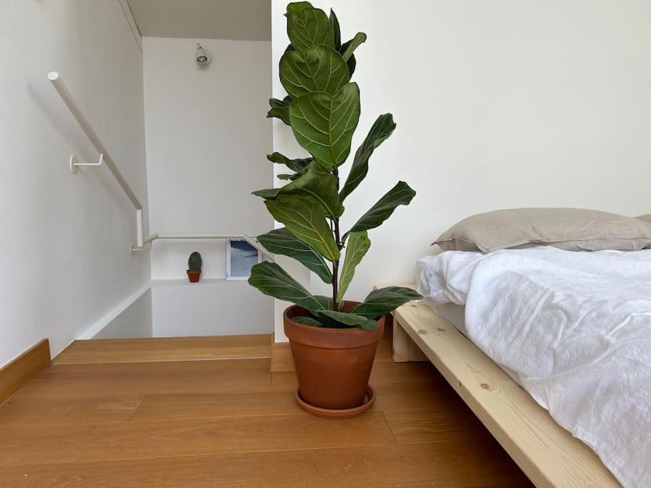 Apartament Casa Alegria Trydent Zewnętrze zdjęcie
