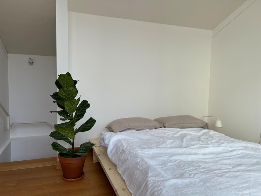 Apartament Casa Alegria Trydent Zewnętrze zdjęcie