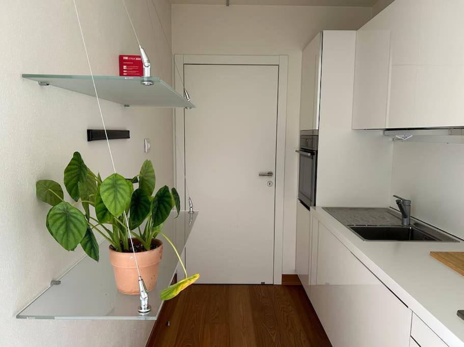 Apartament Casa Alegria Trydent Zewnętrze zdjęcie